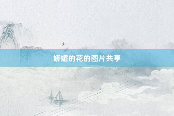 娇媚的花的图片共享