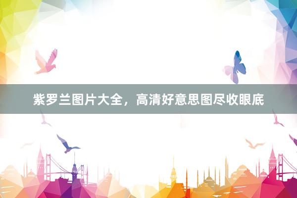 紫罗兰图片大全，高清好意思图尽收眼底