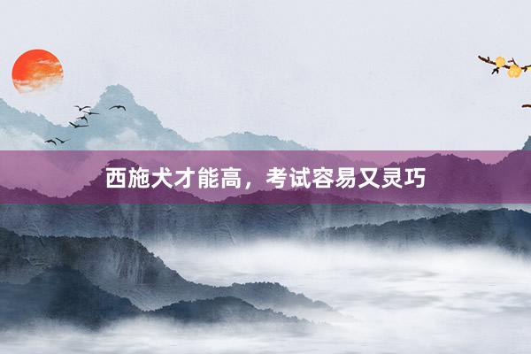 西施犬才能高，考试容易又灵巧