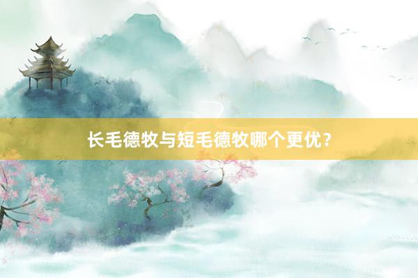 长毛德牧与短毛德牧哪个更优?