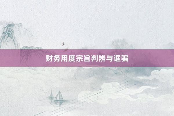 财务用度宗旨判辨与诓骗